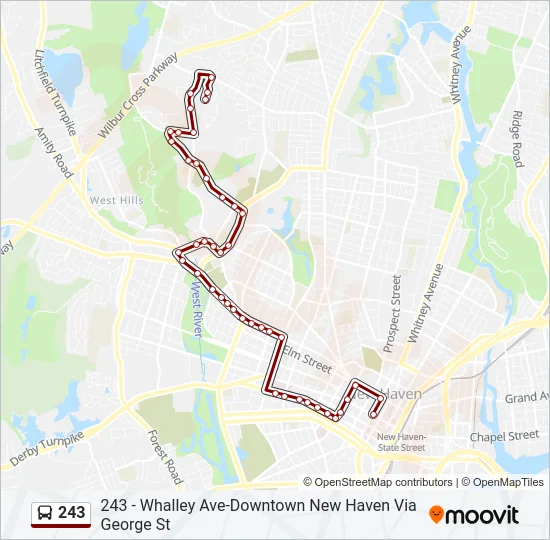 243 Bus Line Map