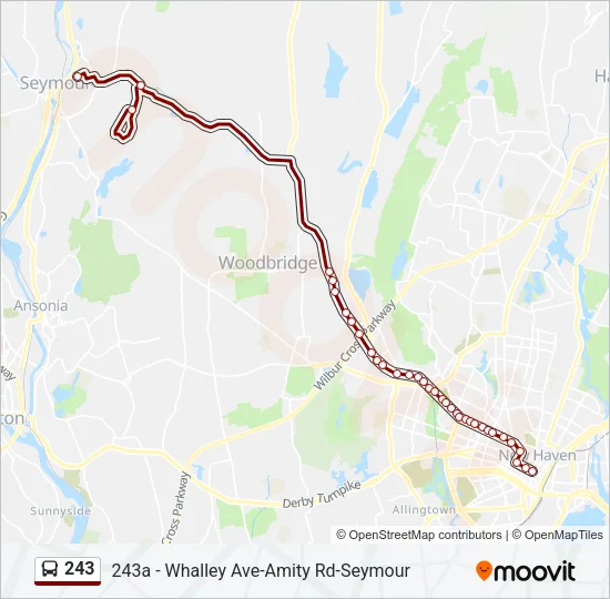 243 Bus Line Map