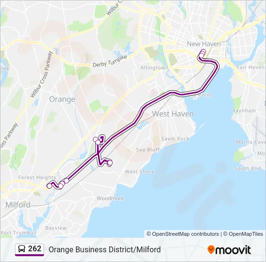 262 Bus Line Map