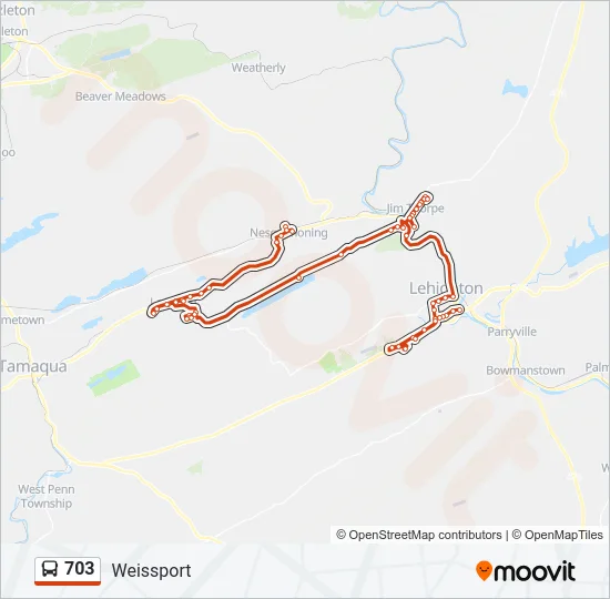 703 Bus Line Map