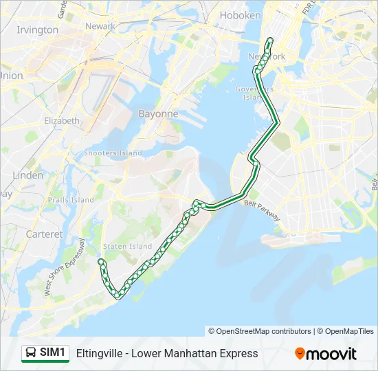 SIM1 Bus Line Map