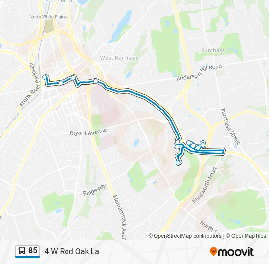 85 Route: Schedules, Stops & Maps - 4 W Red Oak La (Updated)