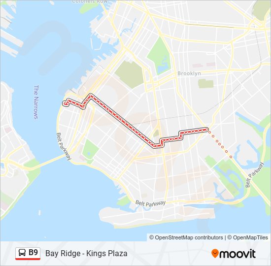 b9 Route: Schedules, Stops & Maps - Bay Ridge Shre Rd Via Avenue M Via ...