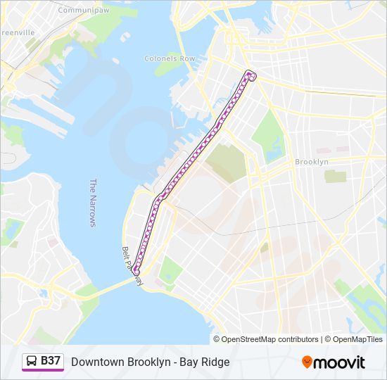 B37 bus Line Map