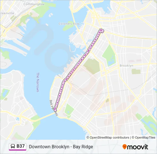 B37 Bus Line Map