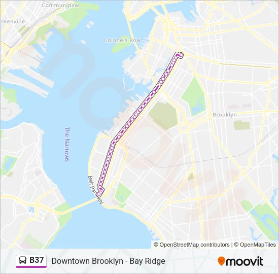 B37 Bus Line Map