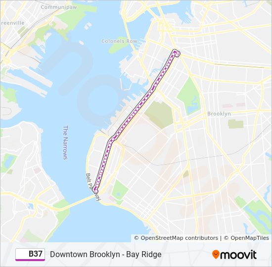 B37 bus Line Map