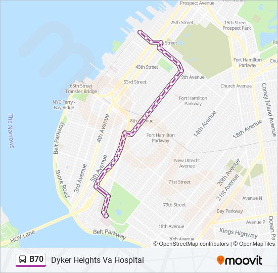 b70 Route: Schedules, Stops & Maps - Dyker Heights Va Hospital (Updated)