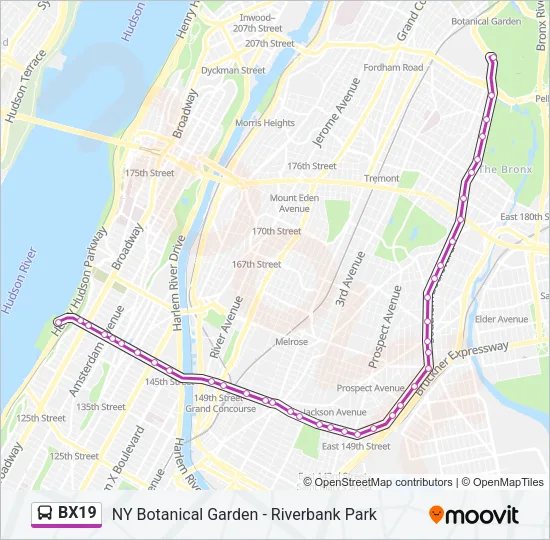 BX19 Bus Line Map