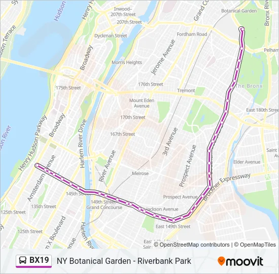 BX19 Bus Line Map