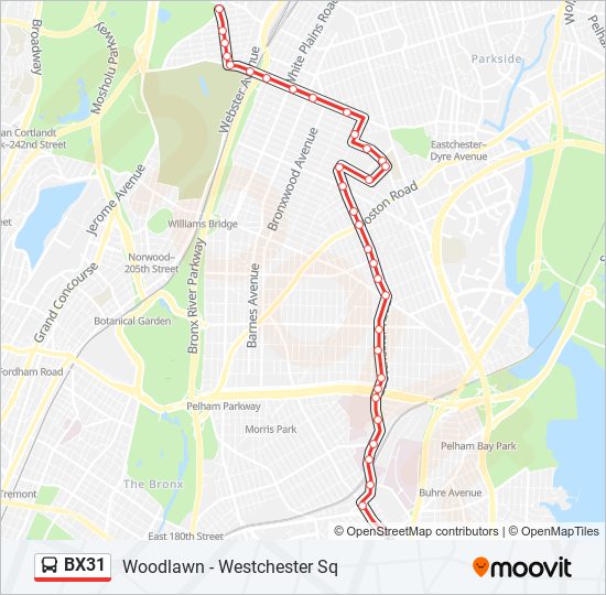 BX31 bus Line Map