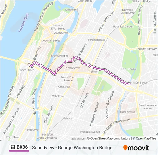 BX36 Bus Line Map
