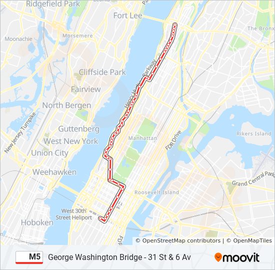 m5 Route: Schedules, Stops & Maps - Limited 31 St 6 Av (Updated)