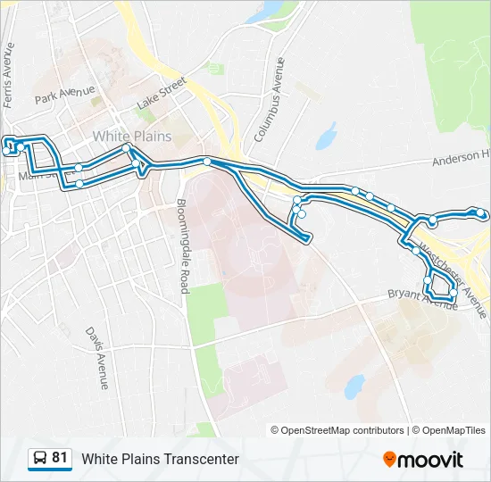 81 Bus Line Map