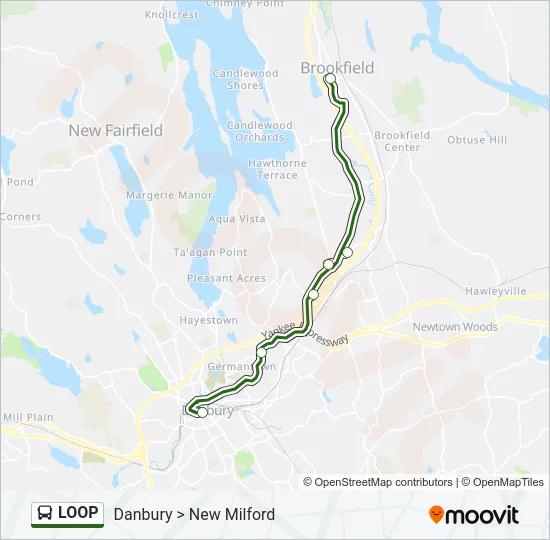 LOOP Bus Line Map