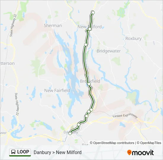 LOOP Bus Line Map