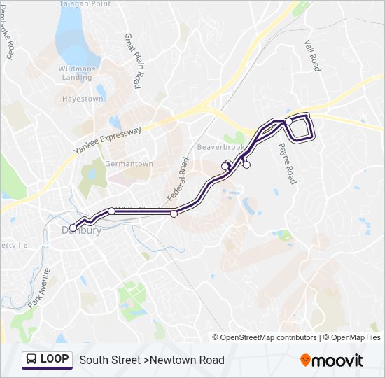 LOOP bus Line Map