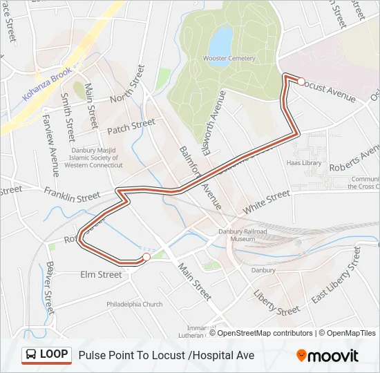 LOOP Bus Line Map