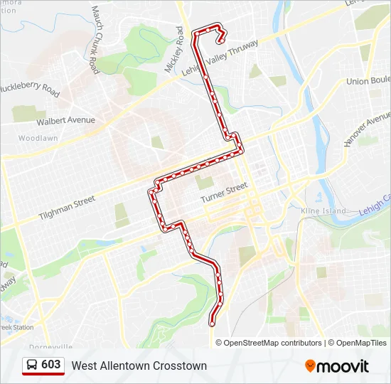 603 Bus Line Map