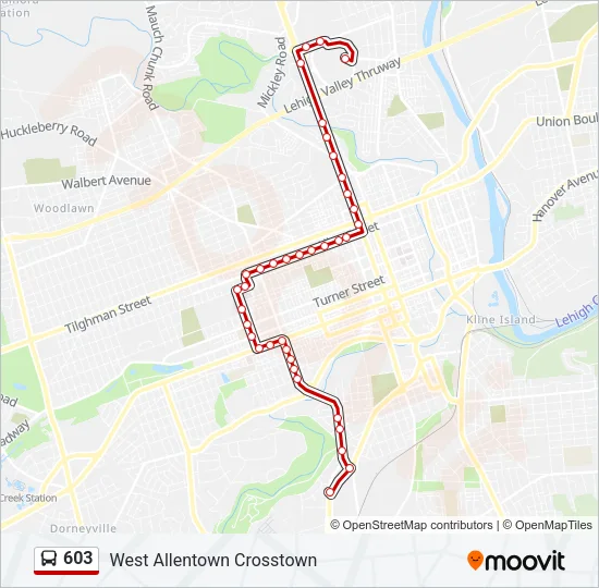 603 Bus Line Map