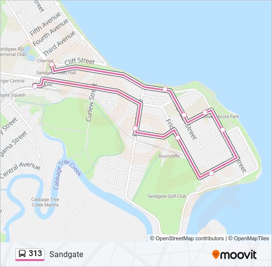 313 bus Line Map