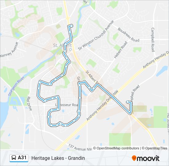 A31 bus Line Map