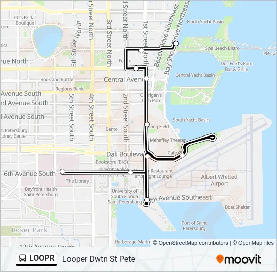 LOOPR Bus Line Map