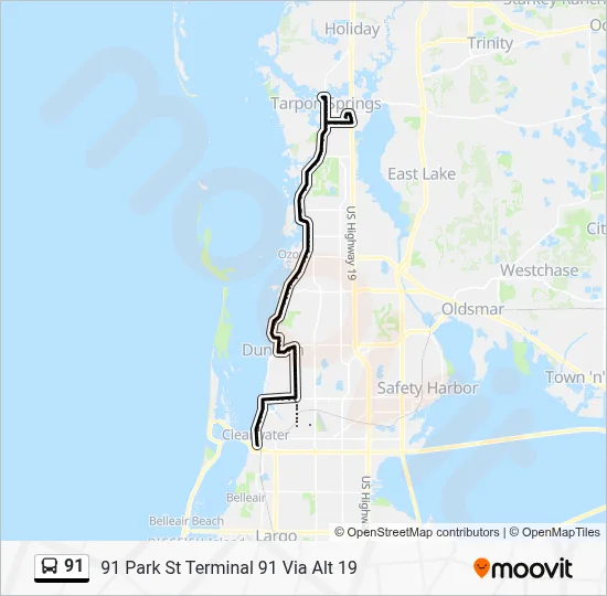 91 Route: Schedules, Stops & Maps - 91 Park St Terminal 91 Via Alt 19 ...