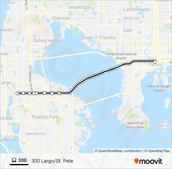 300 Route: Schedules, Stops & Maps - 300 Largo/St. Pete (Updated)