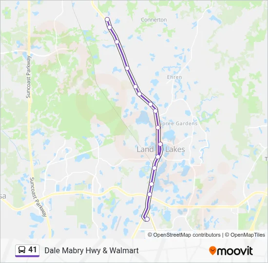 41 Route: Schedules, Stops & Maps - Dale Mabry Hwy & Walmart (Updated)