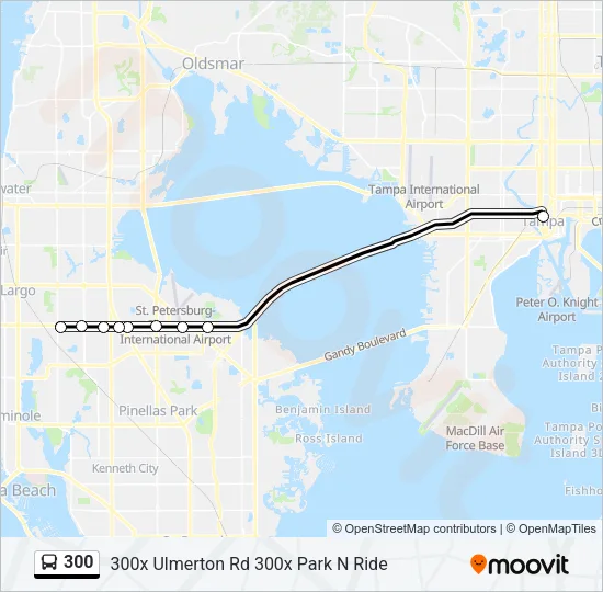 300 Bus Line Map