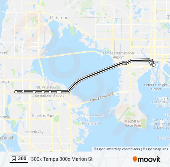 300 Bus Line Map
