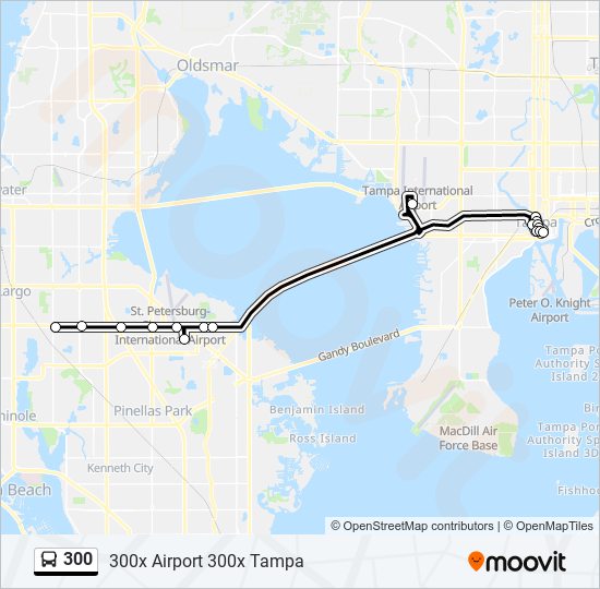 Mapa de 300 de autobús