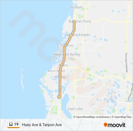 19 Bus Line Map