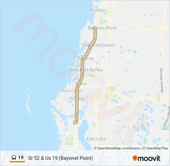 19 Bus Line Map