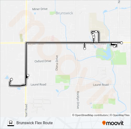 BRUNSWICK FLEX ROUTE Bus Line Map