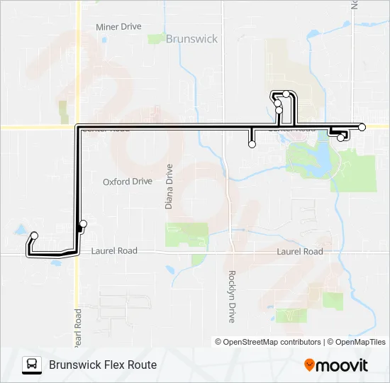 BRUNSWICK FLEX ROUTE Bus Line Map