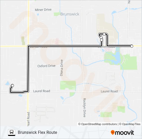 BRUNSWICK FLEX ROUTE Bus Line Map