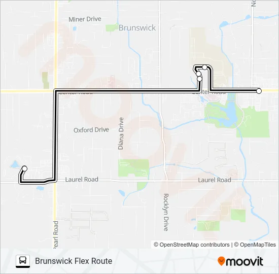 BRUNSWICK FLEX ROUTE Bus Line Map