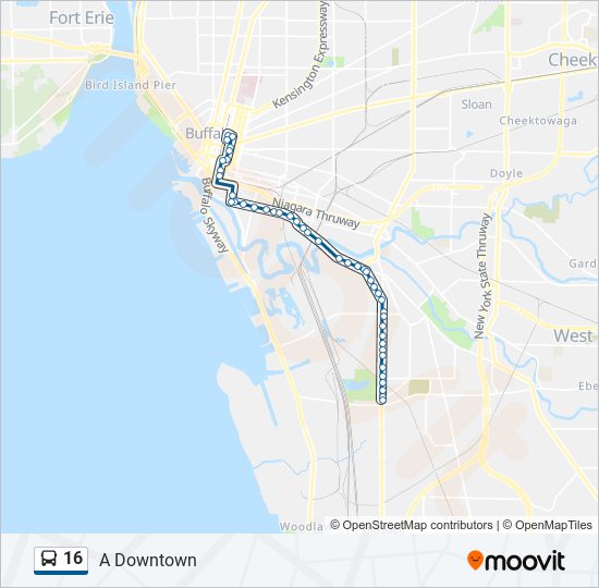 16 bus Line Map