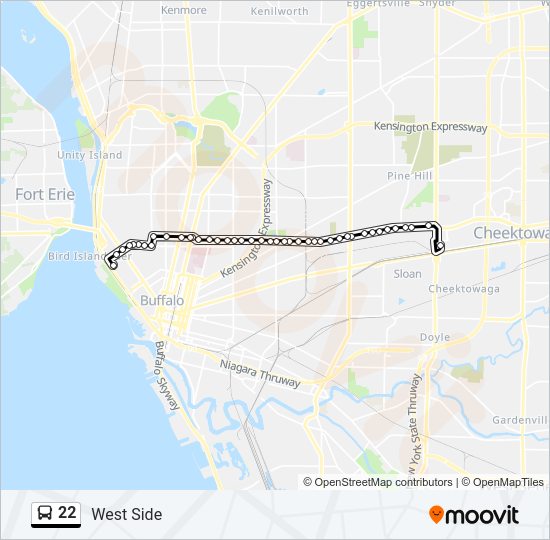 22 Route: Schedules, Stops & Maps - West Side (Updated)