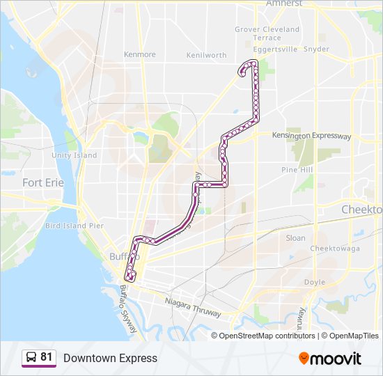 81 bus Line Map