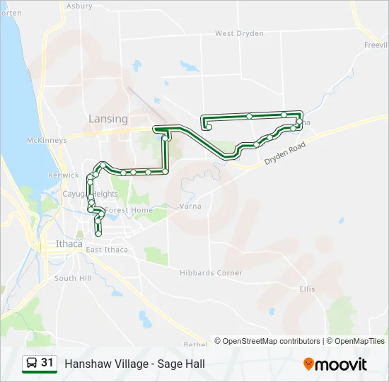 31 Bus Line Map