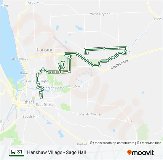 31 Bus Line Map