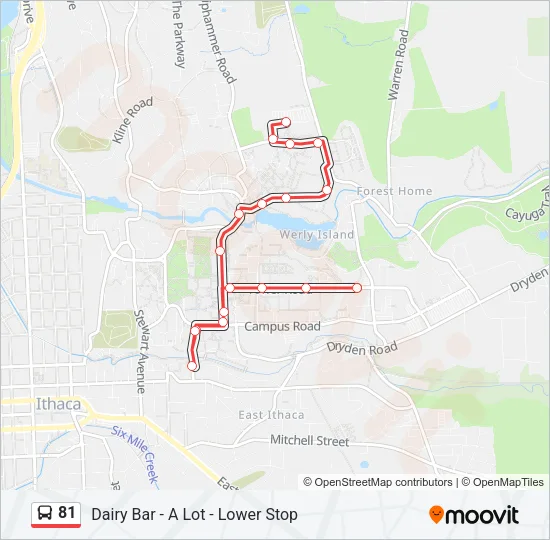 81 Bus Line Map