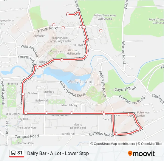 81 Bus Line Map