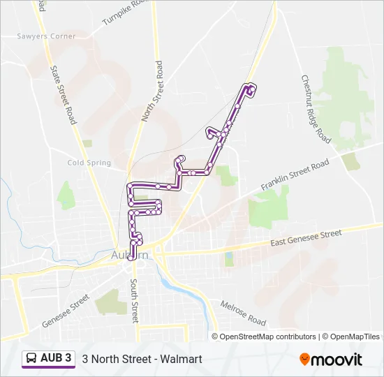 AUB 3 Bus Line Map
