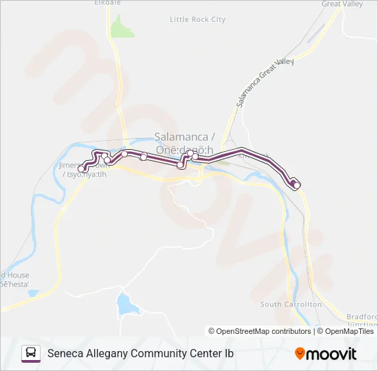 CIRCULATOR Bus Line Map