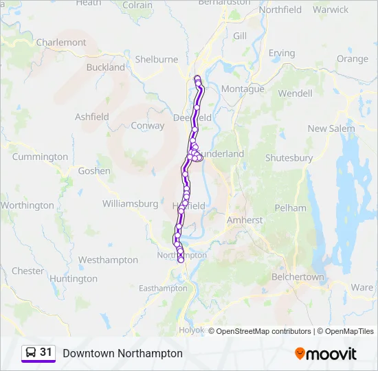 31 Bus Line Map