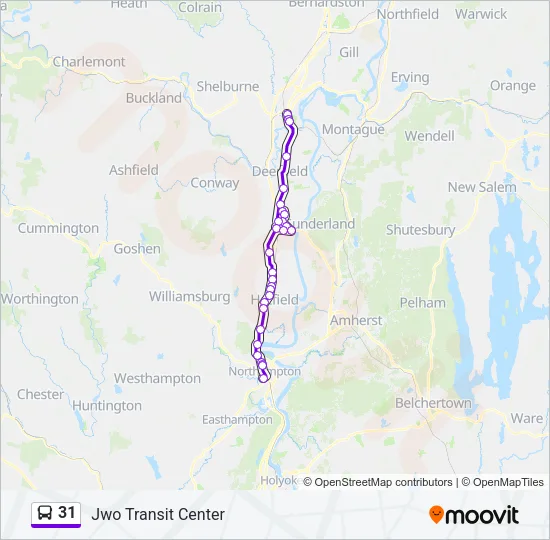 31 Bus Line Map